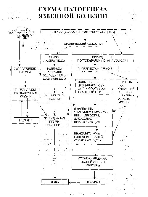 Язвенная болезнь патогенез схема